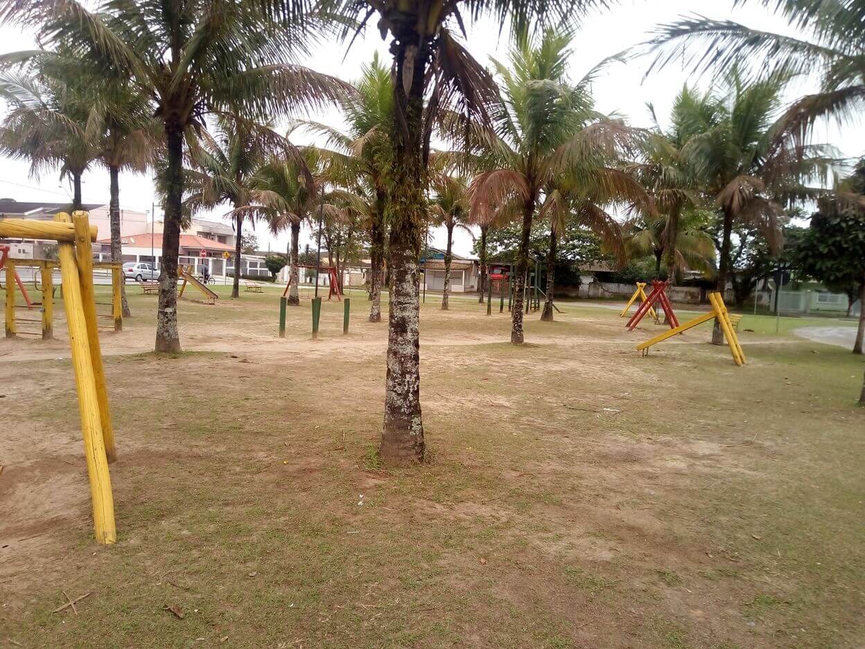 Na foto, uma praça com balanço e palmeiras ilustrando um campo puco gramado em um dia nublado